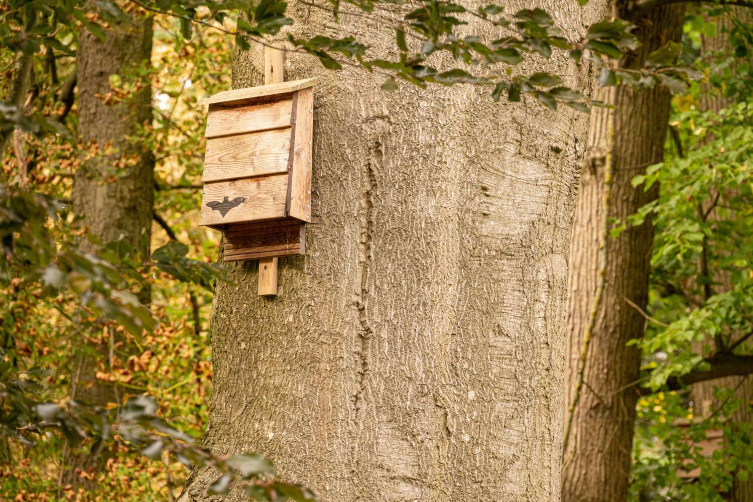 Nisthilfen bieten sichere Verstecke für Vögel. Bild: Adobe Stock