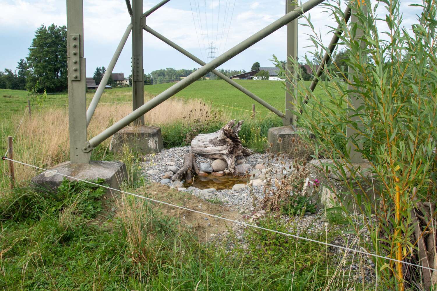 Die ungenutzte Fläche unter Strommasten bietet optimale Voraussetzungen. Bild: Franziska Angele